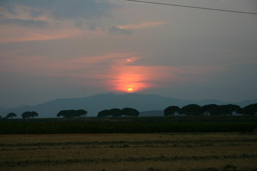Appartamenti Il Granaio Marina di Grosseto Eksteriør bilde