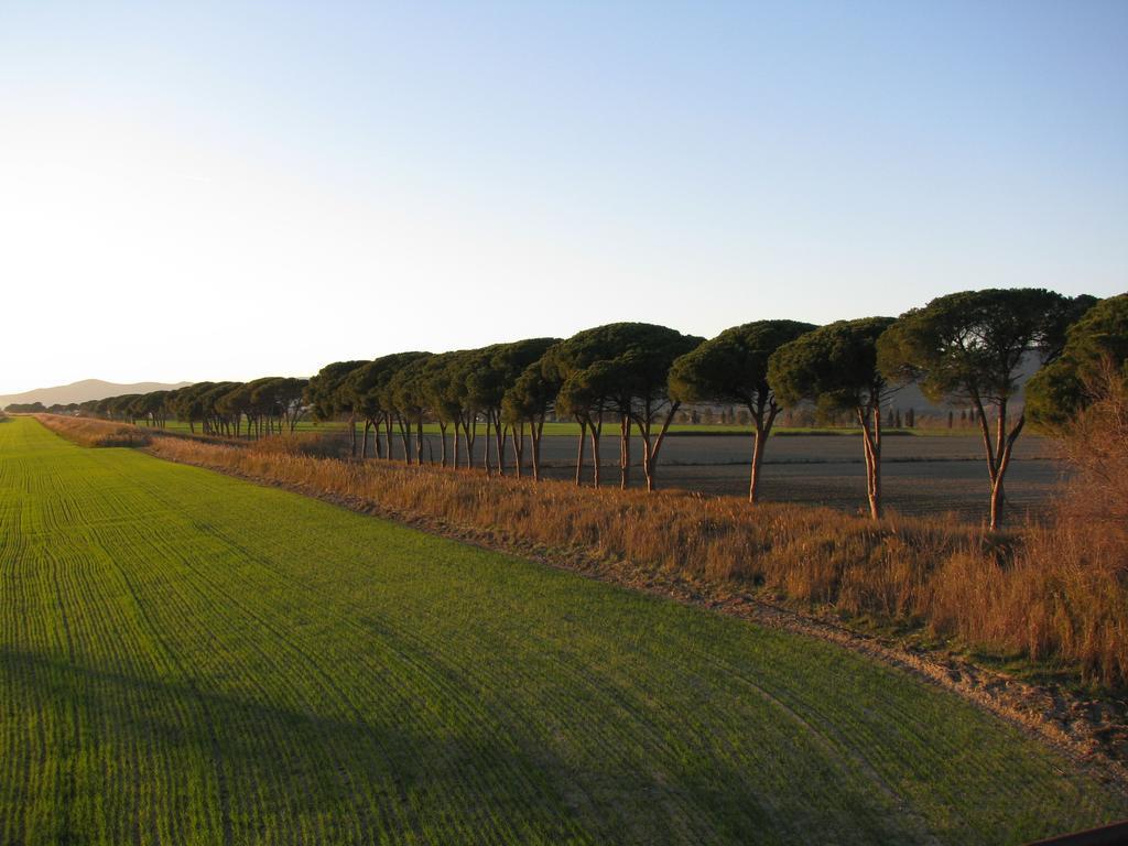 Appartamenti Il Granaio Marina di Grosseto Eksteriør bilde