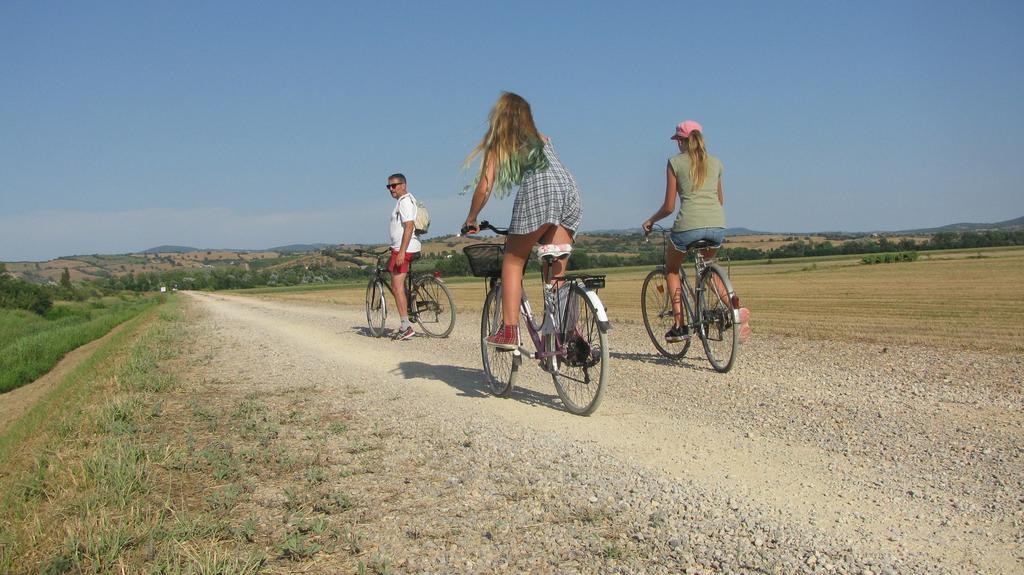 Appartamenti Il Granaio Marina di Grosseto Eksteriør bilde